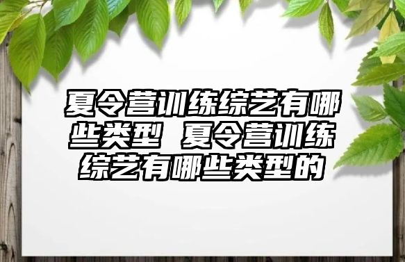 夏令營訓(xùn)練綜藝有哪些類型 夏令營訓(xùn)練綜藝有哪些類型的